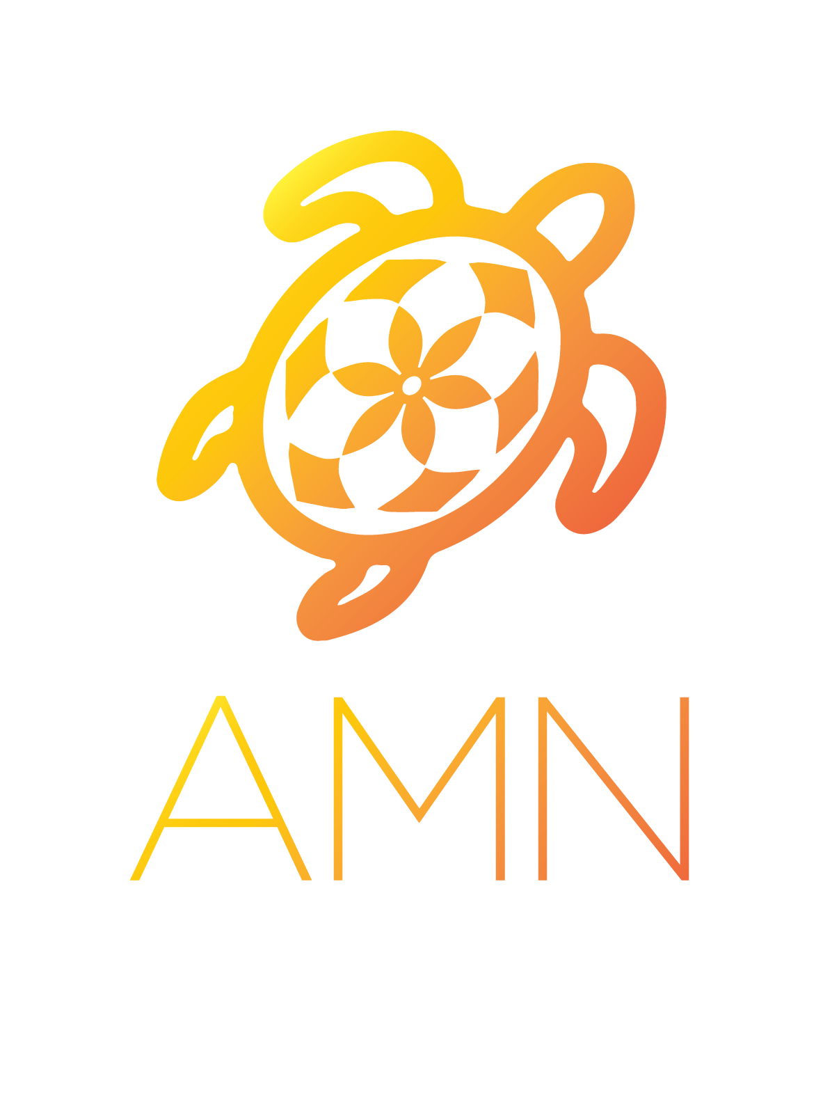 AMN logo s-sAmV